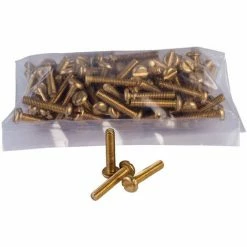Schneider Electric 3747168 Brass Pan Head Machine Screws M4 X 20mm (Pack Of 100)