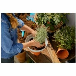 GARDENA ClickUp Flowerpot - 11320-20 -GARDENA SHOP 53330621 3