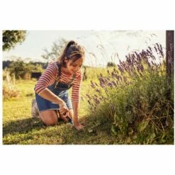 GARDENA EcoLine Transplanter - 8.5 Cm - 17700-20 -GARDENA SHOP 53651553 5