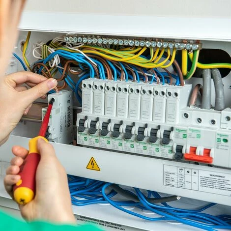 Schneider Electric Easy9+ EZ9F16150 MCB CircuitBreaker Single TypeB 6kA 50A 230V Schneider Electric Easy9+ EZ9F16150 MCB CircuitBreaker Single TypeB 6kA 50A 230V -GARDENA SHOP 54966679 2