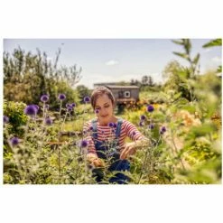 GARDENA EcoLine Trimmer - Stainless Steel - 18 Mm - 12210-20 -GARDENA SHOP 55151758 3